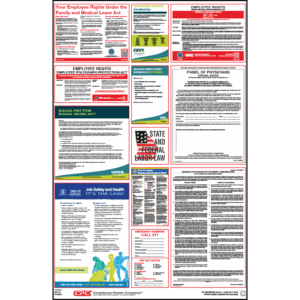 Georgia Labor Law Poster