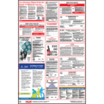 New Hampshire Labor Law Poster