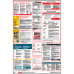 New Mexico Labor Law Poster