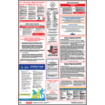 Texas Labor Law Poster