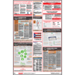 Puerto Rico Labor Law Poster