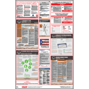 Puerto Rico Labor Law Poster