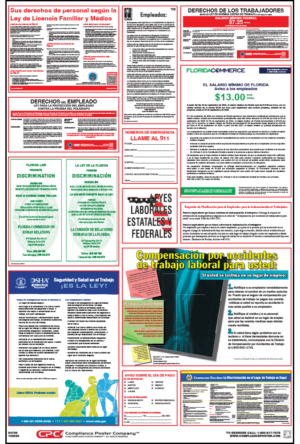Florida All-On-One Labor Law Poster - Spanish