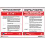 Federal Contractor Worker Rights Poster - Spanish