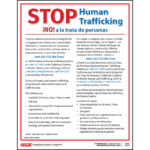 California Human Trafficking
