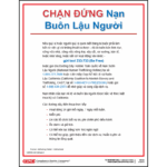 Vietnamese Human Trafficking