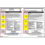 Montgomery County Minimum Wage Poster - English