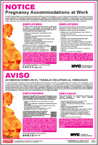 32710 New York Pregnancy Rights Poster