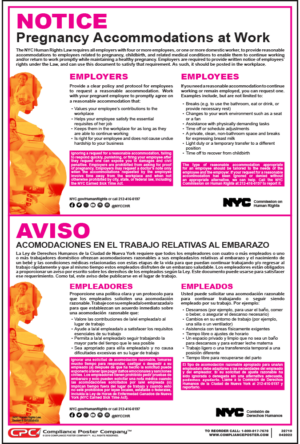 New York Pregnancy Rights Poster