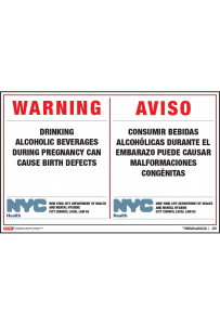 Alcohol Pregnancy Warning Poster