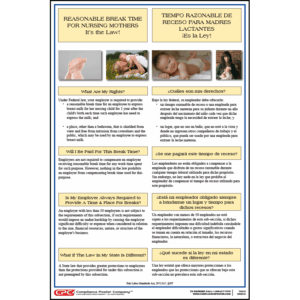 Reasonable Break Time for Nursing Mothers