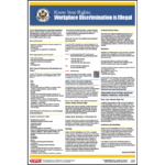 Equal Employment Opportunity Large Print English