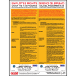 Employee Rights Under H-2B Poster - Bilingual
