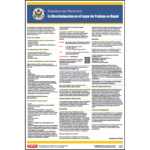 Equal Employment Opportunity Large Print Spanish