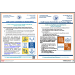 Cook County Minimum Wage & Earned Sick Leave Poster