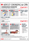 Small Adult Conscious Choking and CPR Poster - English