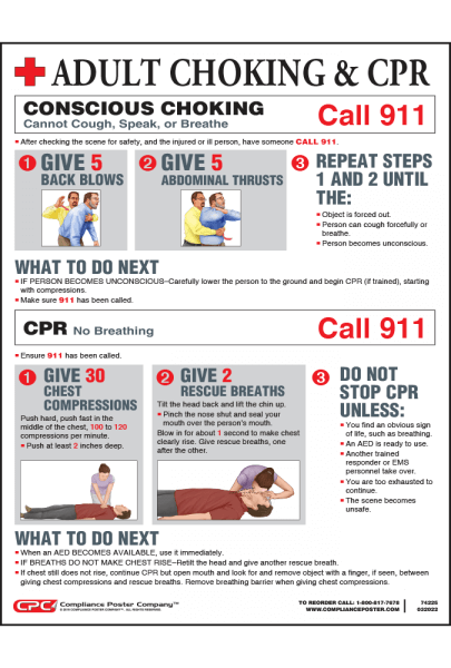 Small Adult Conscious Choking and CPR Poster