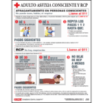 Small Adult Conscious Choking and CPR Poster - Spanish