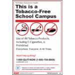 Rhode Island No Smoking in Schools Poster