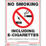 Texas No Smoking Poster