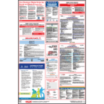 US Virgin Islands Labor Law Poster