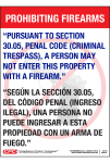 Texas Bilingual Permitless Carry Firearm Posters