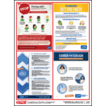Fighting the Flu Poster