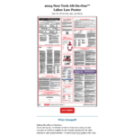 Mandatory 2024 New York All-On-One™ Labor Law Poster Update