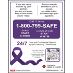 New San Antonio, Texas Domestic Violence Poster