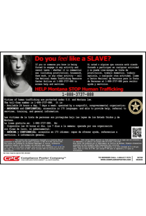 Montana Human Trafficking Poster